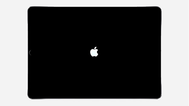 iPad start opnieuw op na een soft reset.
