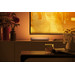 Philips Hue Play Light Bar White and Color White 1 Unit product in use