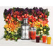 Sage the Nutri Juicer Cold XL visual supplier