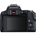 Canon EOS 250D Black + 18-55mm f/3.5-5.6 DC III + Bag + 16GB Memory Card + Cloth 