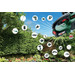 Bosch Citymower 18-300 visual leverancier