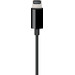 Apple Lightning to 3.5mm Audio Cable 