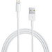 Apple Lightning to USB-A Cable 1m Main Image