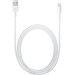 Apple Lightning to USB-A Cable 2m Main Image