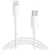 Câble Apple Lightning vers USB-C 1 Mètre Main Image