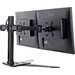 iiyama Monitor mount DS1002D-B1 Main Image