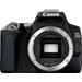 Canon EOS 250D Body Main Image