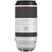 Canon RF 100-500mm f/4.5-7.1L IS USM Main Image