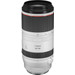 Canon RF 100-500mm f/4.5-7.1L IS USM 