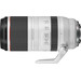 Canon RF 100-500mm f/4.5-7.1L IS USM 