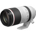 Canon RF 100-500mm f/4.5-7.1L IS USM 