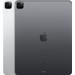Apple iPad Pro (2021) 12.9 inch 256GB Wifi Space Gray achterkant