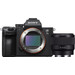 Sony A7 III + 50mm f/1.8 Main Image