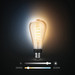 Philips Hue Filament White Ambiance Edison XL 2-pack + Bridge product in use