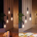 Philips Hue Filament White Ambiance Edison XL 5-pack product in gebruik