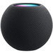 Apple HomePod mini Grijs Main Image