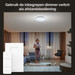 Philips Hue Enrave L plafondlamp White Ambiance Wit 