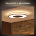 Philips Hue Being plafondlamp White Ambiance Zwart 