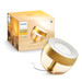 Philips Hue Iris White and Color Special Edition Goud 