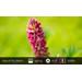 Sony FE 85mm f/1.8 visual Coolblue 1