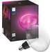 Philips Hue Lightguide Ellipse White and Color E27 2-pack verpakking