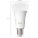 Philips Hue White and Color E27 1600lm Separate Light 