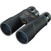 Nikon Prostaff 5 12x50 front