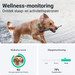 Tractive Gps Tracker Hond XL Groen visual leverancier