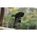 DJI Osmo Action Bike Seat Rail Mount product in gebruik