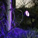 Hombli Smart Spike Light for Outdoors - Expansion product in use