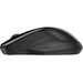 HP 250 Dual Souris Sans Fil 