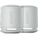 Sony SRS-XB100 Duo Pack Gray Main Image