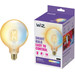 WiZ Smart Filament lamp Globe XL - Warm tot Koelwit Licht - E27 Main Image