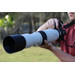 Canon RF 200-800mm f/6.3-9 IS USM product in gebruik