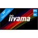 iiyama ProLite LH5575UHS-B1AG Main Image