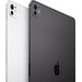 Apple iPad Pro (2024) 11 inches 512GB WiFi + 5G Black + Apple Pencil Pro detail