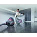 Dyson Big Ball Absolute 2 product in gebruik