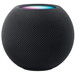 Apple HomePod mini Zwart Main Image