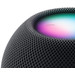 Apple HomePod mini Noir Lot de 2 détail