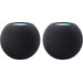 Apple HomePod mini Noir Lot de 2 Main Image