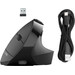 JLAB JBuds Souris Ergonomique Bluetooth Sans Fil accessoire