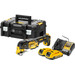 DeWalt DCS356NT-XJ 2.0Ah Battery (2x) Starter Kit Main Image