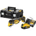 DeWalt DCS356NT-XJ Batterie 5,0 Ah Kit de Démarrage Main Image