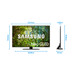 Samsung Neo QLED 4K 55QN90D (2024) + Barre de Son visuel Coolblue 4