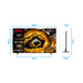 TCL QD Mini-led 85X955 Max (2024) visual Coolblue 4