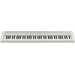 Casio CT-S1-76 Blanc Main Image