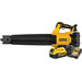 DeWalt 18V XR Axiale 5,0 Ah Accu Starterspakket Main Image