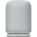 Sony LinkBuds Speaker Gray Main Image