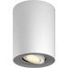 Philips Hue Pillar Spot Monté en Surface White Ambiance - Blanc - 1 spot Main Image