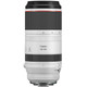 Canon RF 100-500mm f/4.5-7.1L IS USM